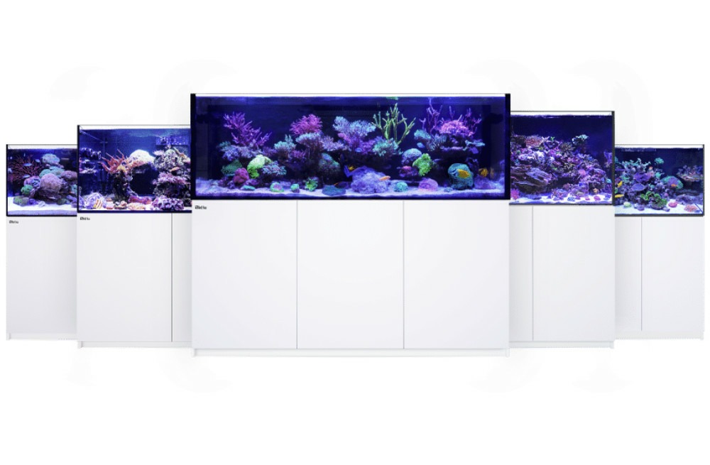 Mod&egrave;les Red Sea Reefer G2 - &agrave; acheter sur Petonus.fr