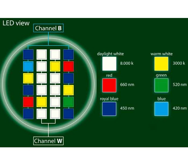 Répartition lumineuse de l’éclairage LED aquarium Qube 50