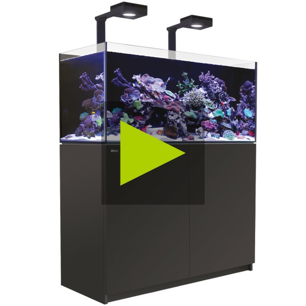 Red Sea Reefer 425 G3+ Deluxe noir