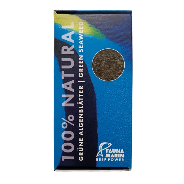 Fauna Marin feuilles d’algues vertes