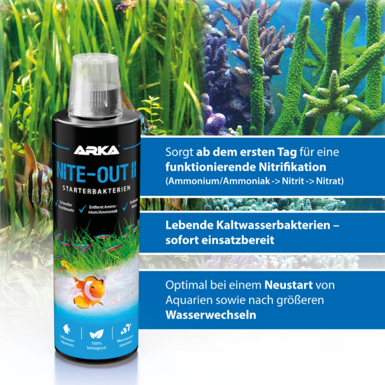 Arka Nite Out Pond