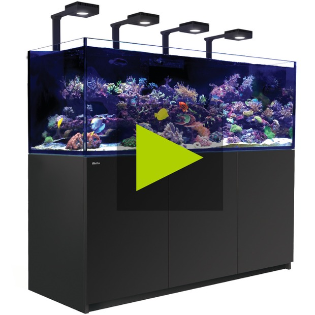 Red Sea Reefer 750 G3+ Deluxe noir