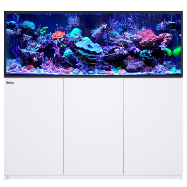 Red Sea Reefer 525 G3 blanc