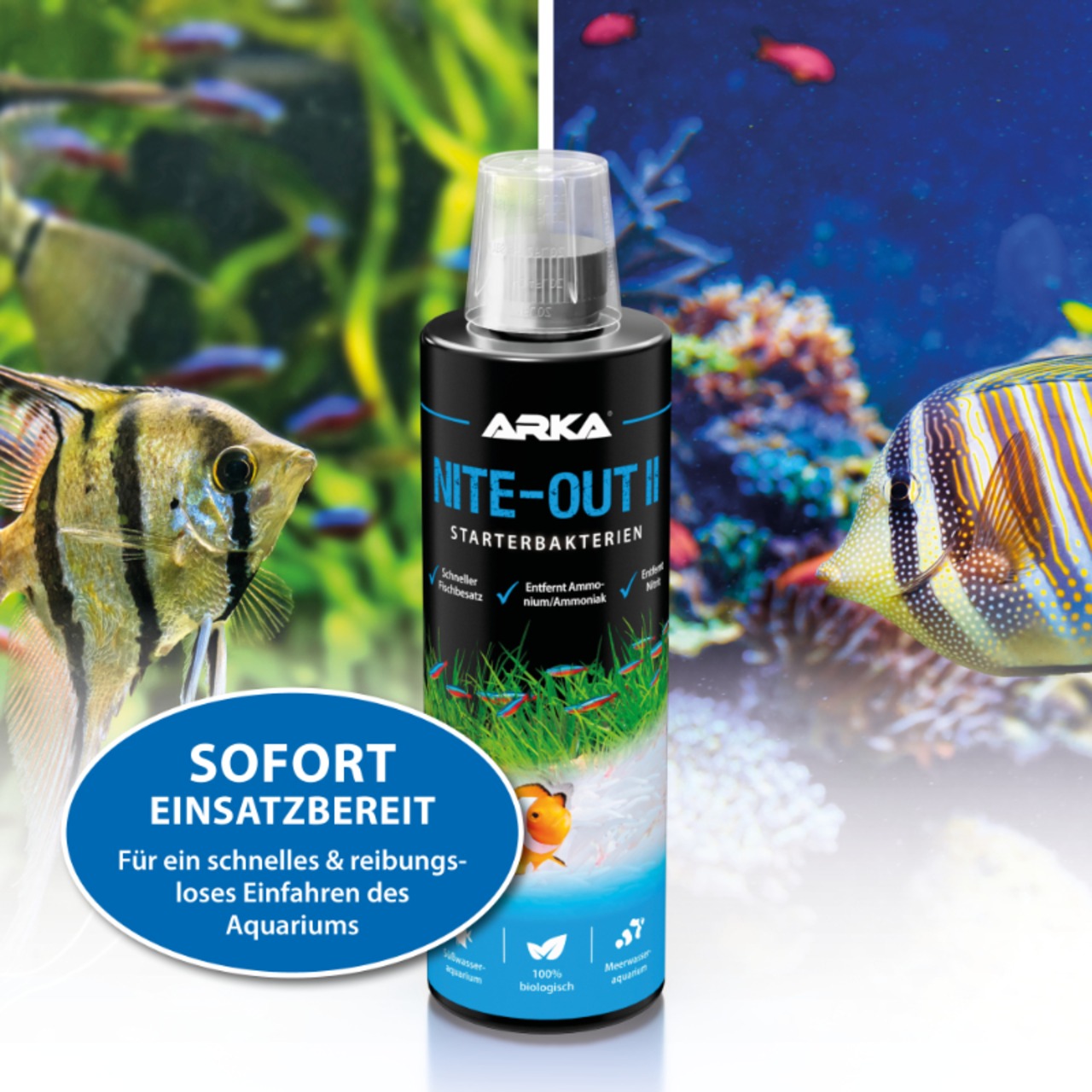 Arka Nite Out Pond