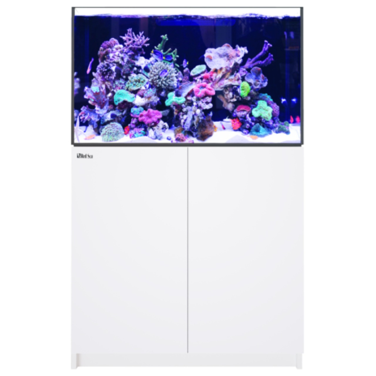 Red Sea Reefer 300 G3 blanc