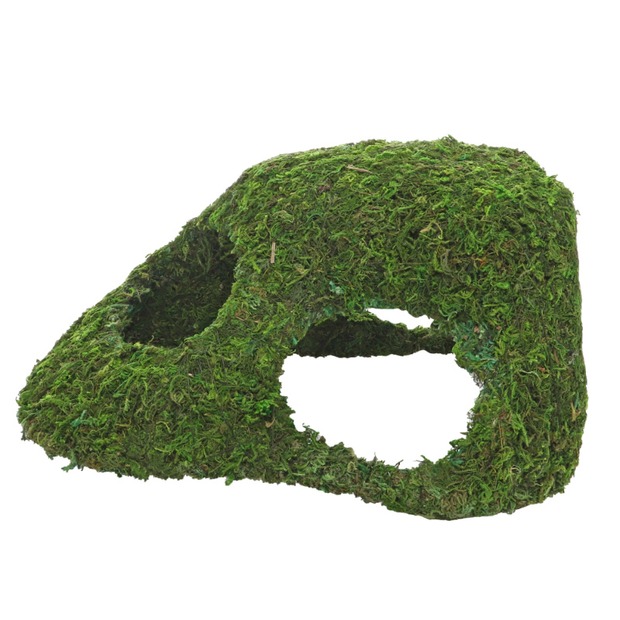 Hobby Jungle Cave