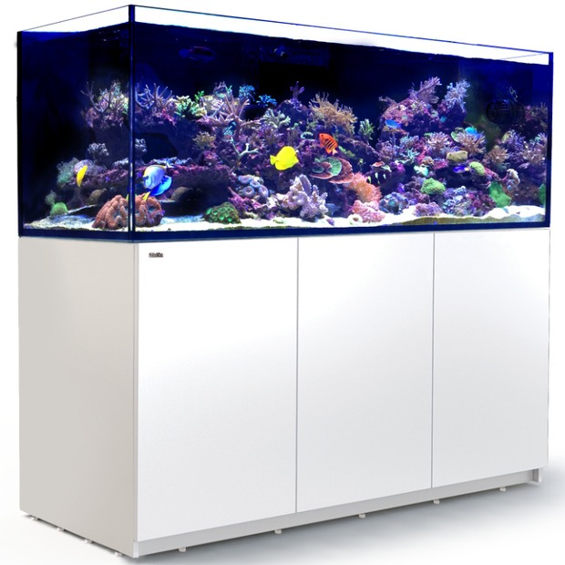 Red Sea Reefer 750 G3 blanc