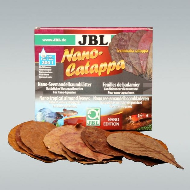 JBL Nano-Catappa feuilles d’amandier tropical