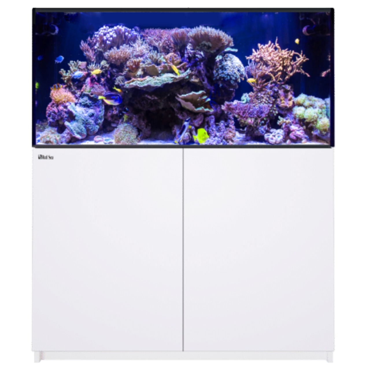 Red Sea Reefer 425 G3 blanc