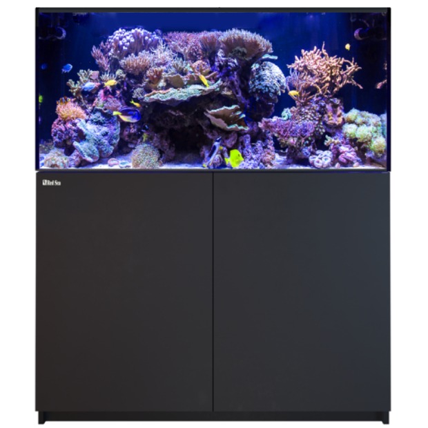 Red Sea Reefer 425 G3 noir