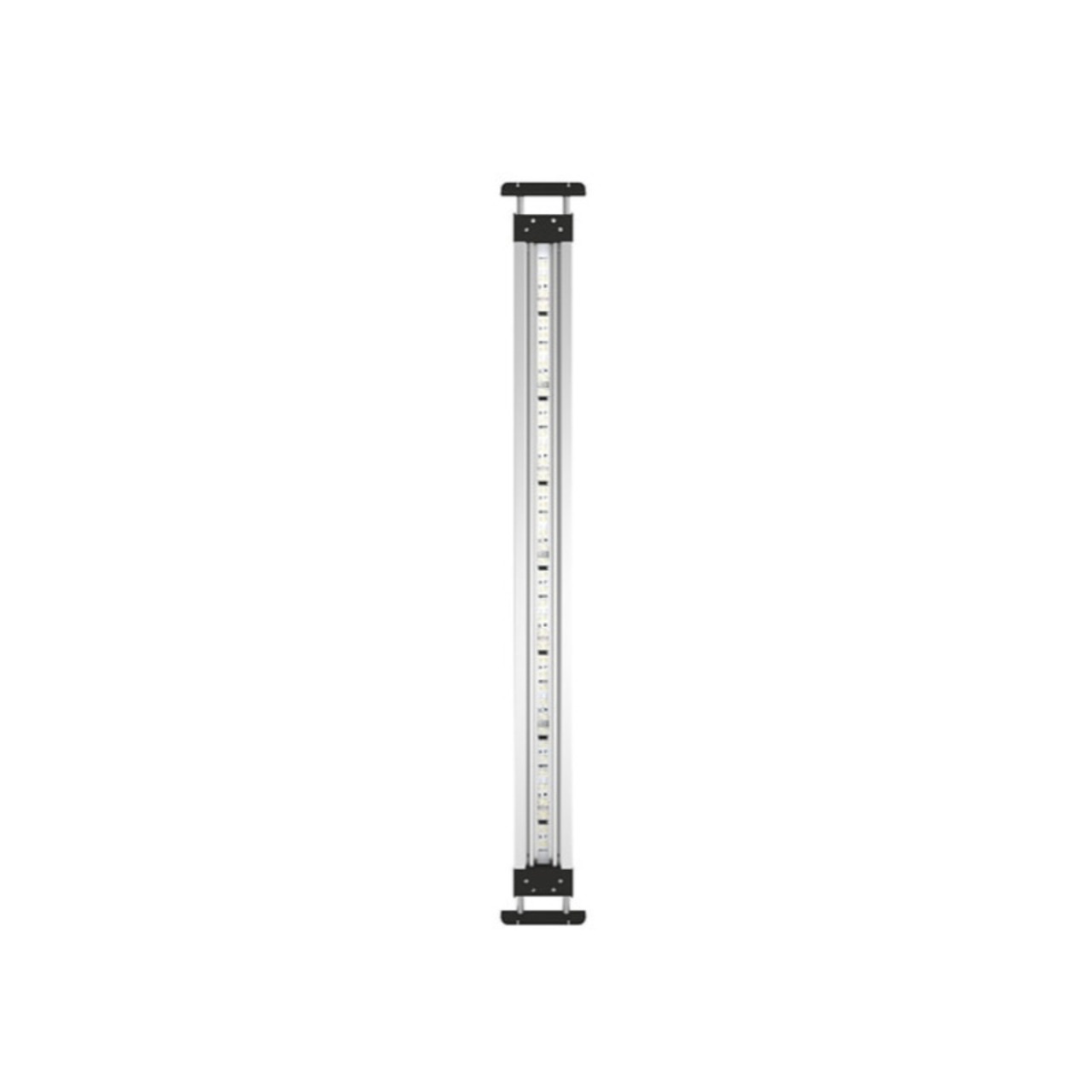 Oase MotionControl LED