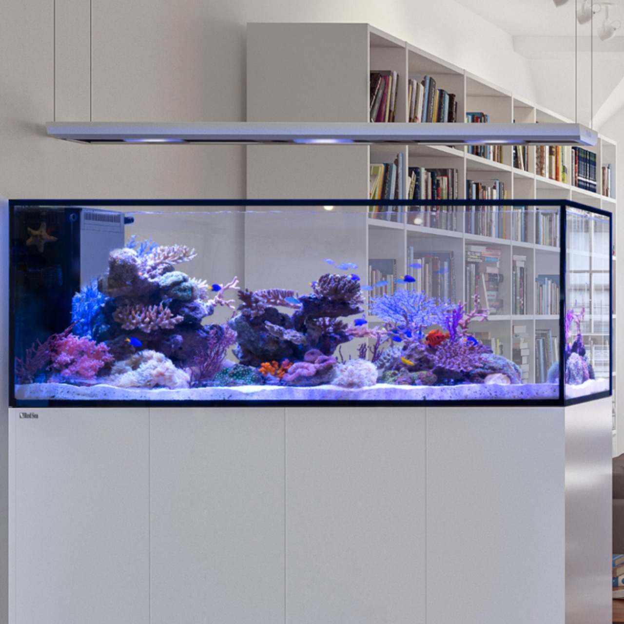 Red Sea REEFER Peninsula S-950 G3