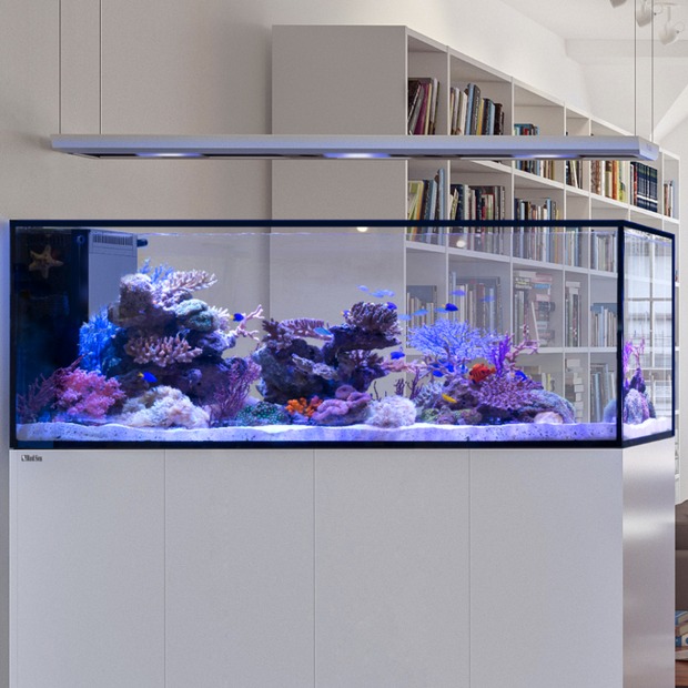 Red Sea REEFER Peninsula S-950 G3