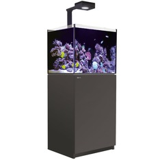 Red Sea Reefer 200 G3 Deluxe noir