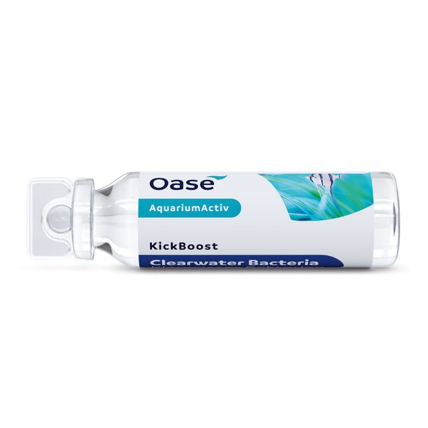 Oase KickBoost bactéries eau claire