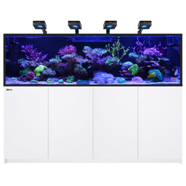 Red Sea REEFER MAX S G3