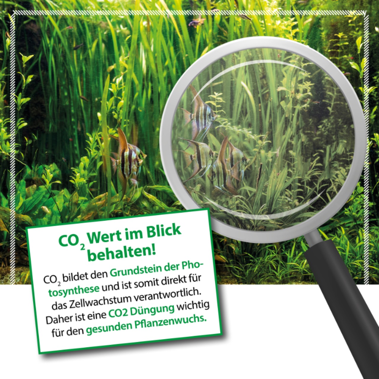 Arka Bio - CO2