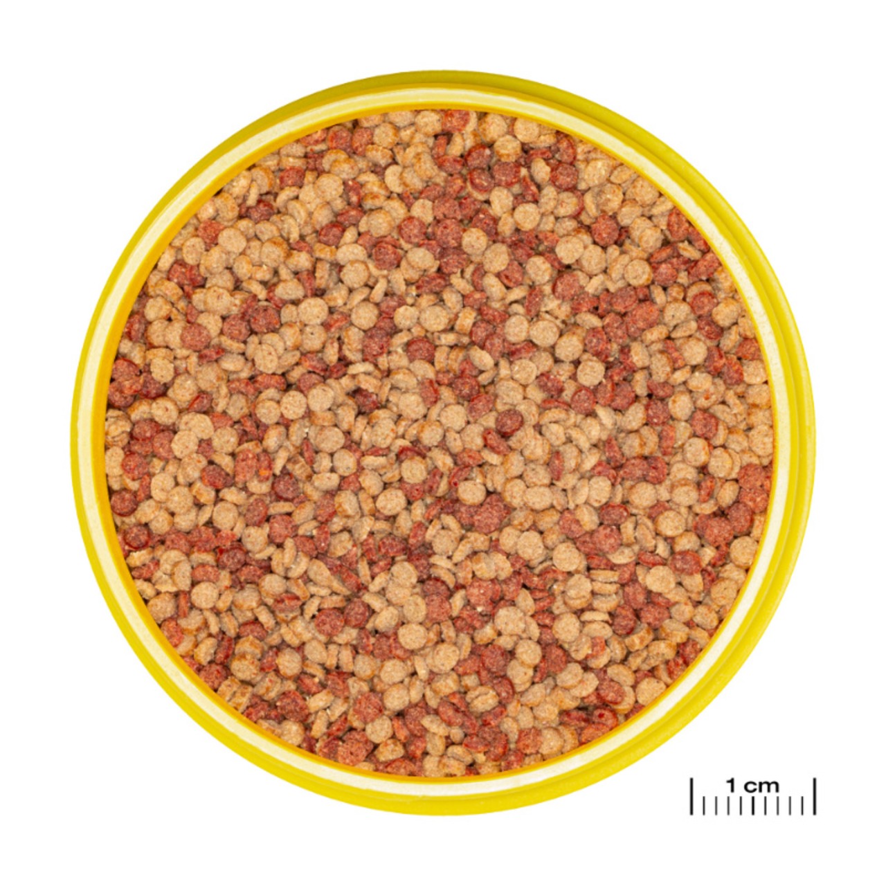 JBL ProNovo Color Grano M