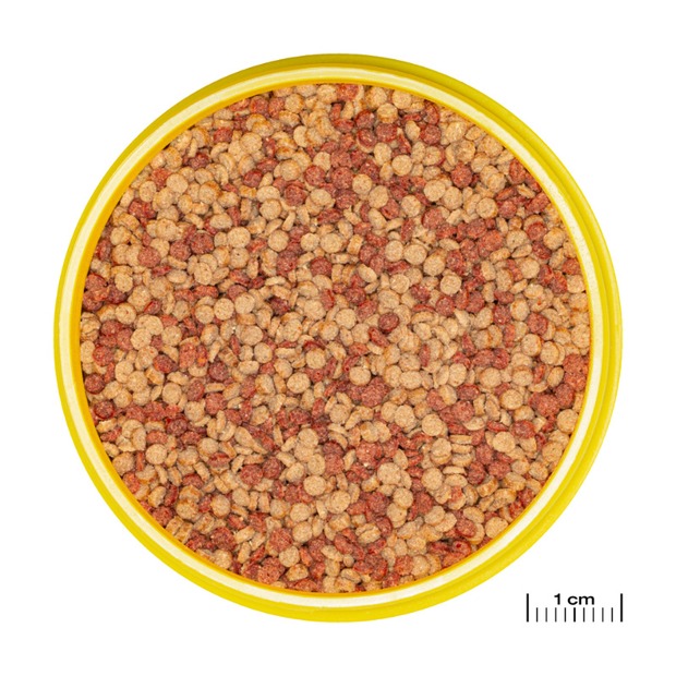 JBL ProNovo Color Grano M
