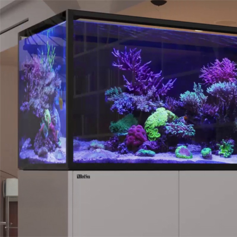 Aquariums avec entretoise euro Reefer Peninsula