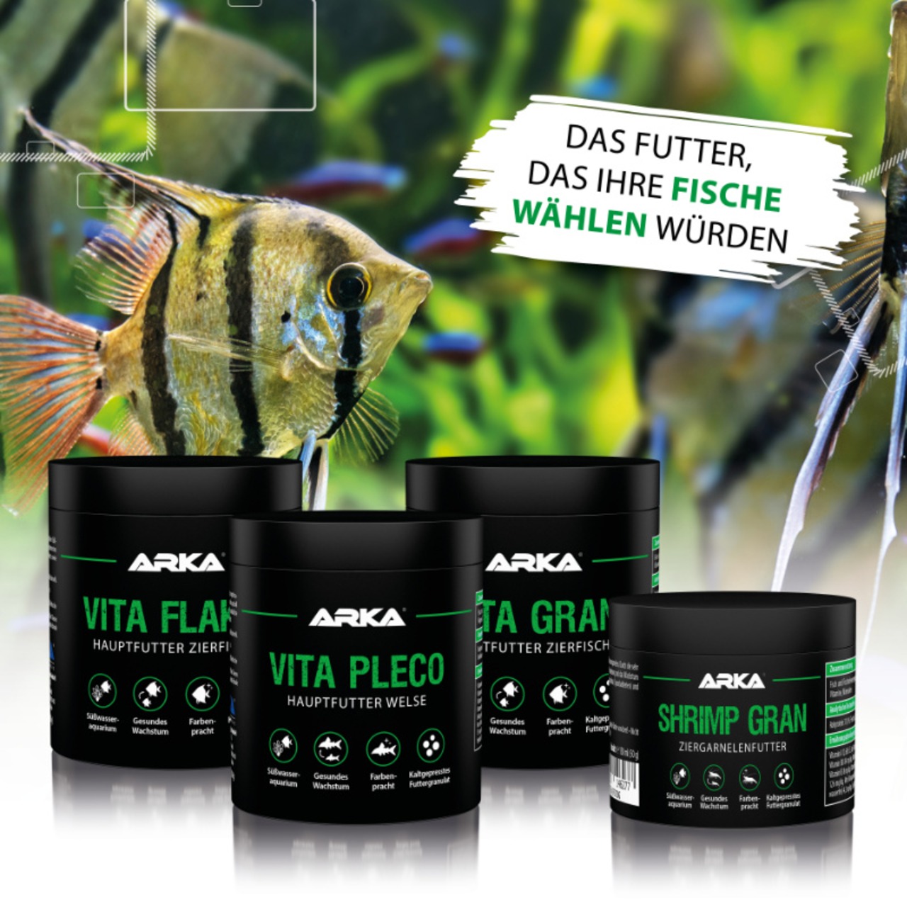 ARKA Vita Pleco nourriture poissons-chats 250 ml