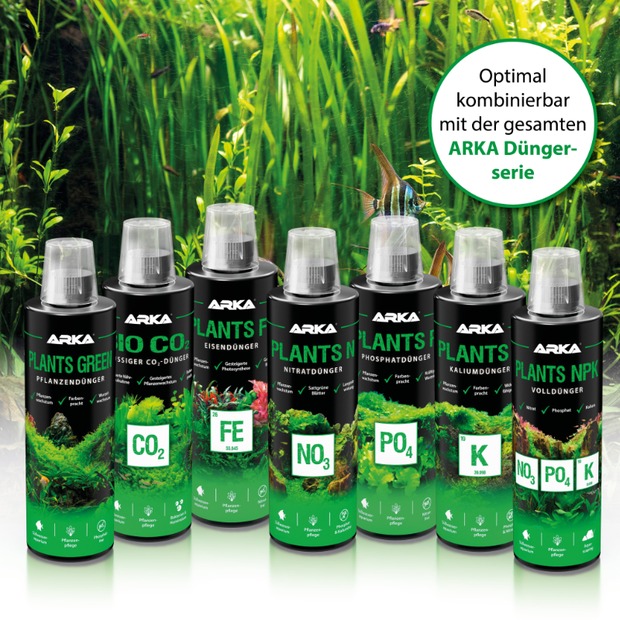Arka Plants Fe