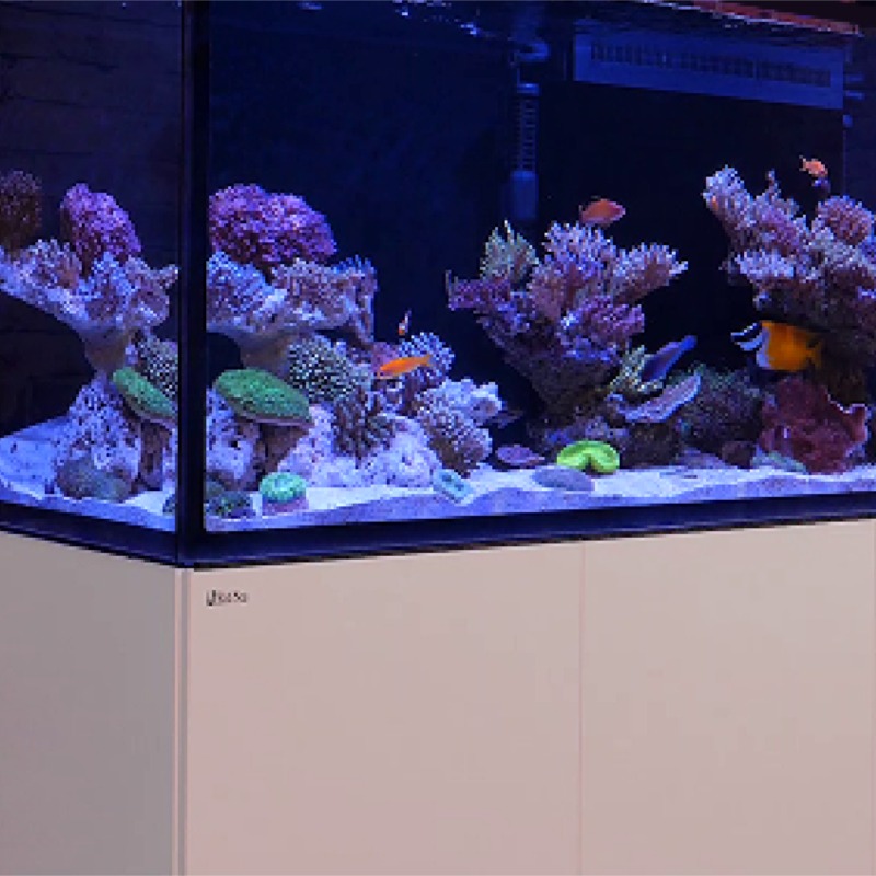 Reefer meuble renforcé