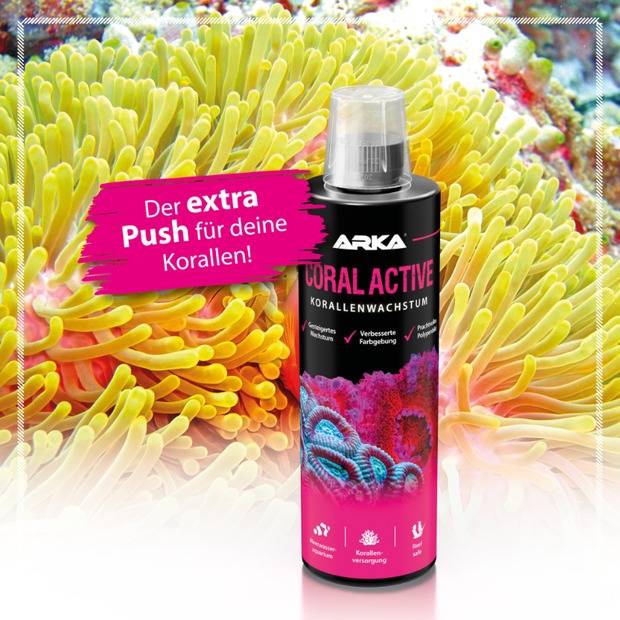 Arka Coral Activ croissance corallienne 473 ml