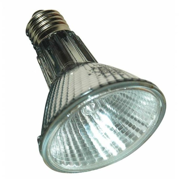 Lucky Reptile Halogen Sun lampe chauffante