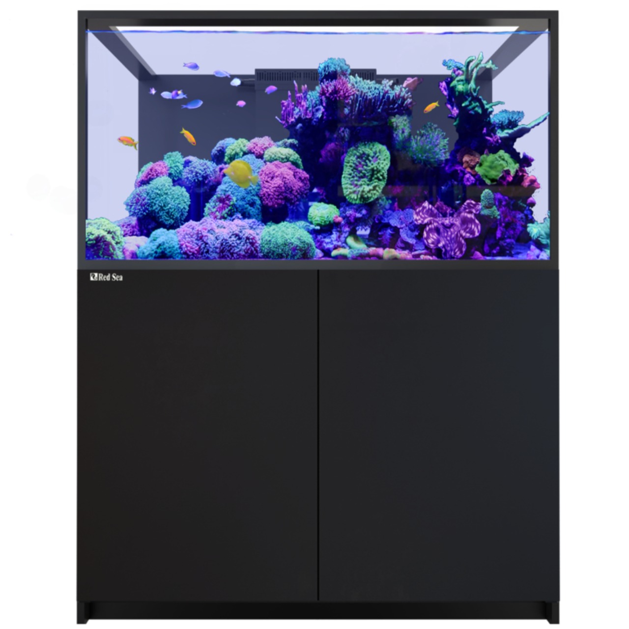 Red Sea Reefer-S 550 G3+ noir