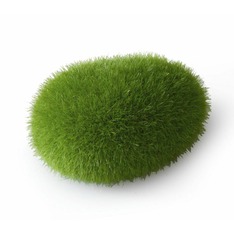 Aqua Della boule de mousse S