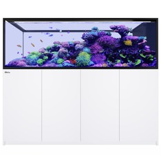 Red Sea REEFER Peninsula S-950 G3