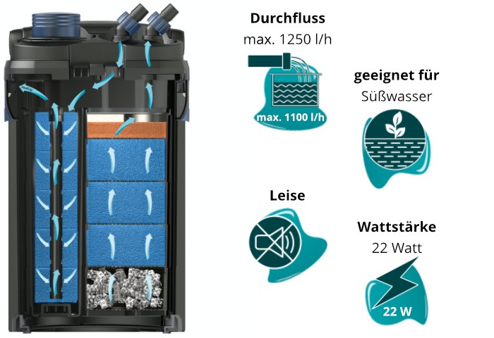 Cette image montre l&rsquo;Oase BioMaster 600 et ses caract&eacute;ristiques