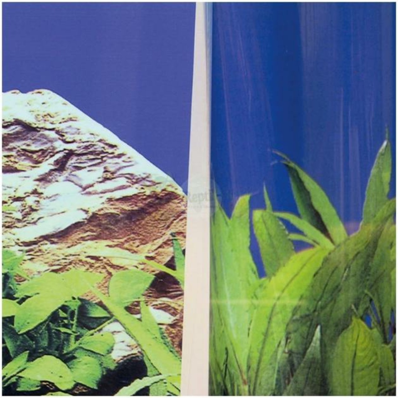 JBL FIXOL colle pour fonds photo