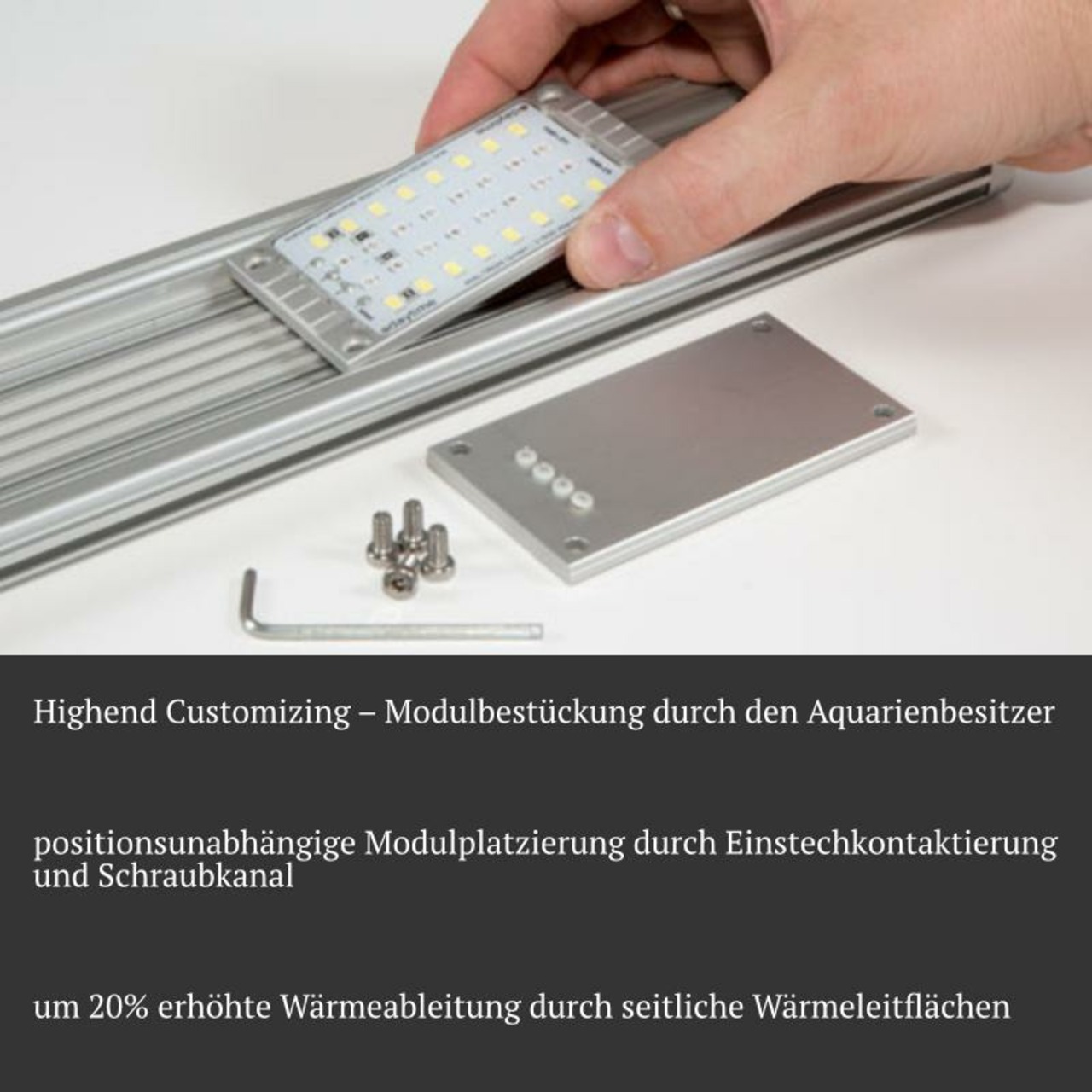 Module LED Matrix
