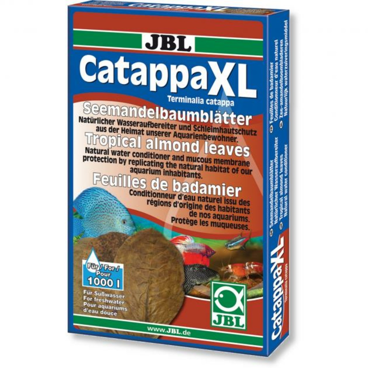 JBL Catappa XL feuilles d’amandier tropical