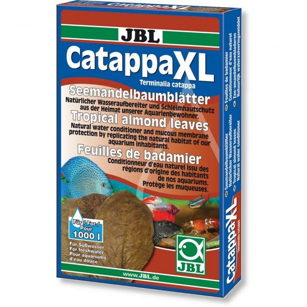 JBL Catappa XL feuilles d’amandier tropical