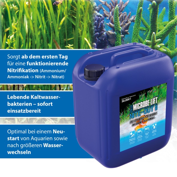 Arka Nite-Out II - bactéries starter 5 L