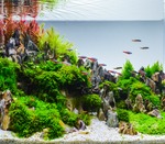 Aquarium Kosten