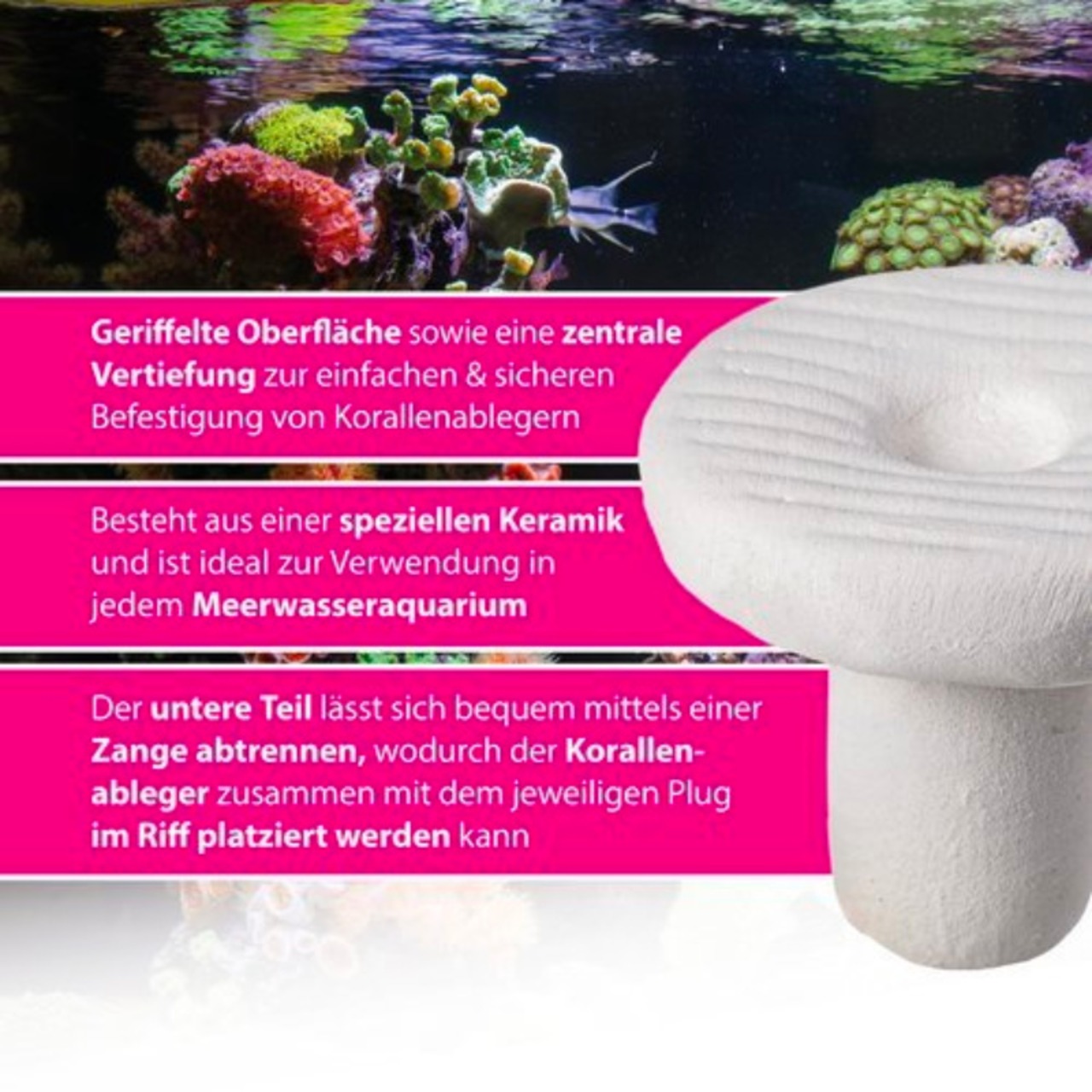 ARKA myREEF Plugs, 12 pièces