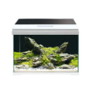 Nano-aquarium Icon