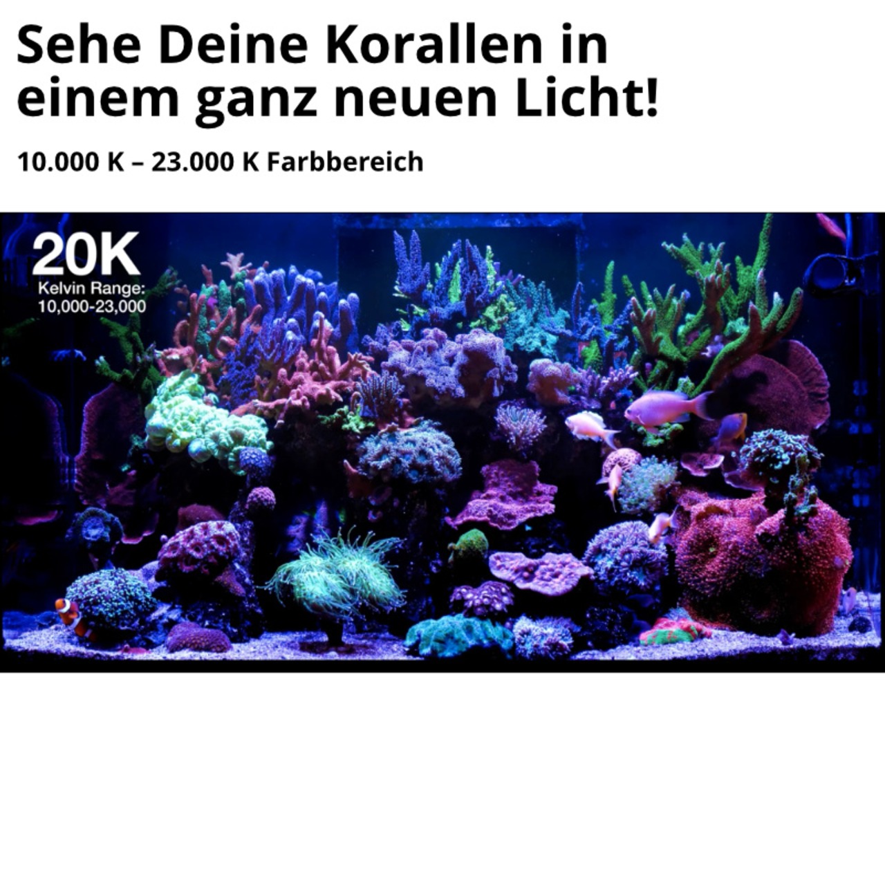 Red Sea ReefLED G2