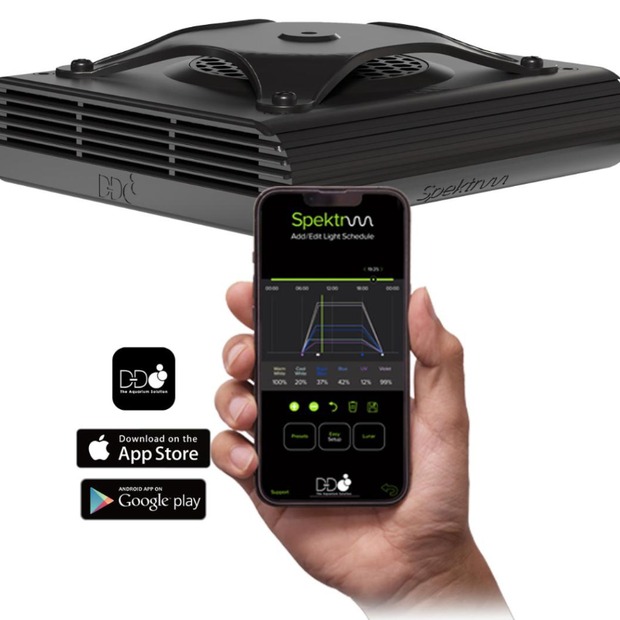 D-D Spektrum 90