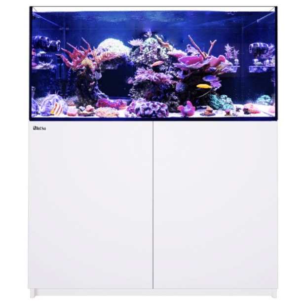 Red Sea Reefer 350 G3 blanc