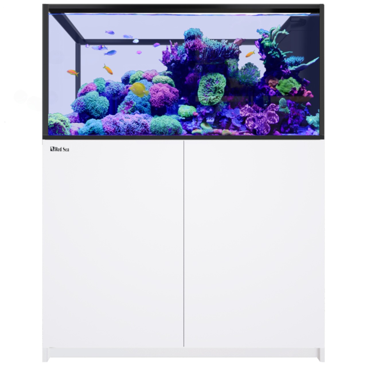 Red Sea REEFER Peninsula 500 G3