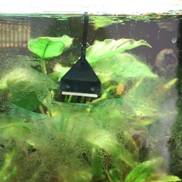 Hobby Algae Scraper