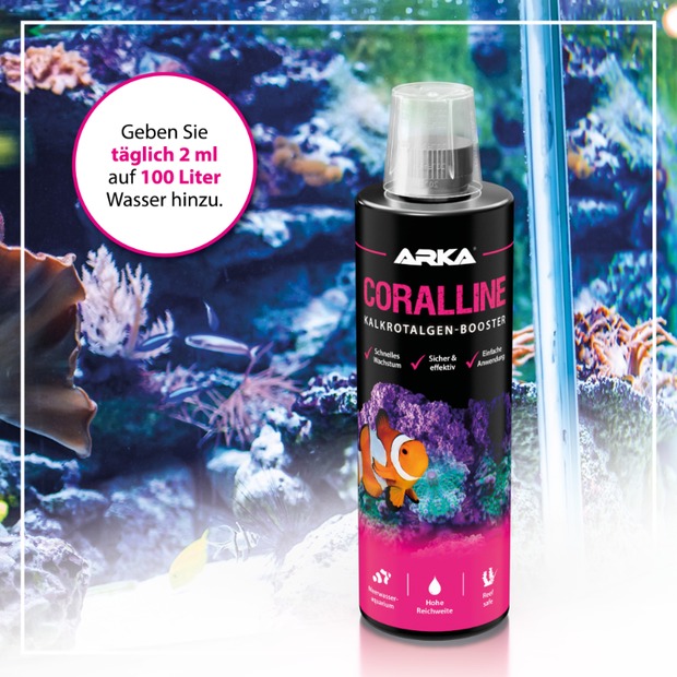 Arka Coralline algues rouges calcaires + 473 ml