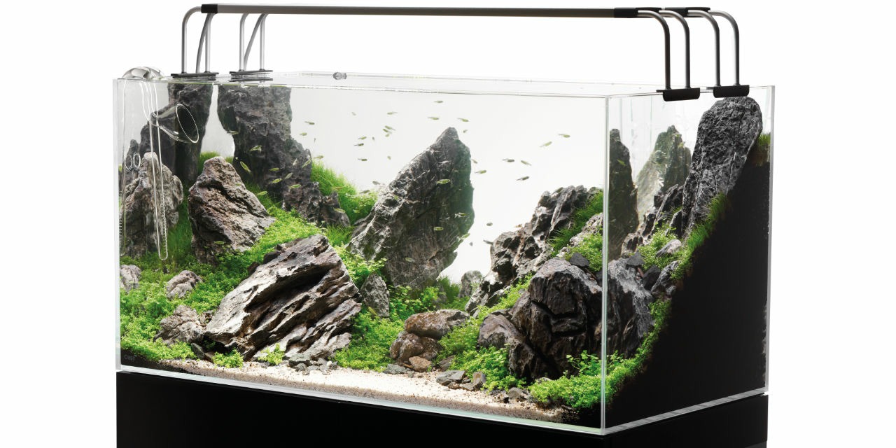 Aquascaping Oase ScaperLine