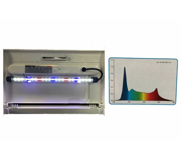Éclairage LED de l’Amtra Modern Tank 40