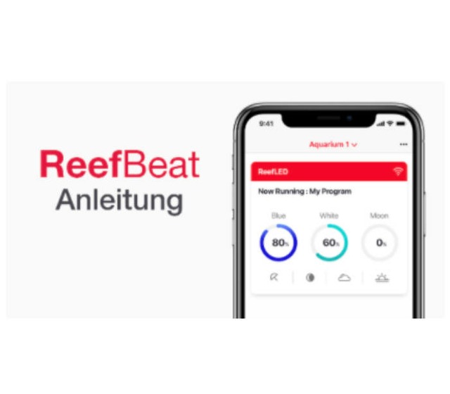 Photo montrant l&rsquo;acc&egrave;s au tutoriel vid&eacute;o de l&rsquo;application ReefBeat
